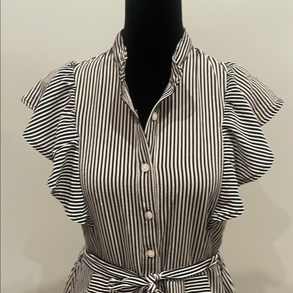 Striped Blue and White Ruffle Sleeve Dress summer fav - Picture 4 of 4